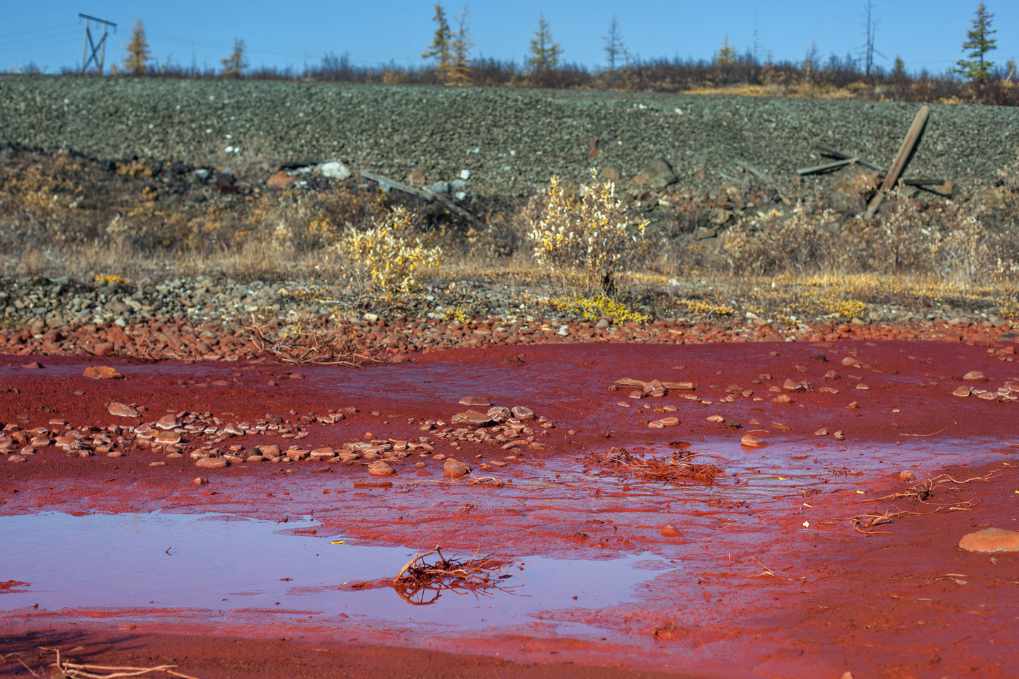 Daldykano upė nusidažė raudonai.<br>AFP/“Scanpix“ nuotr.