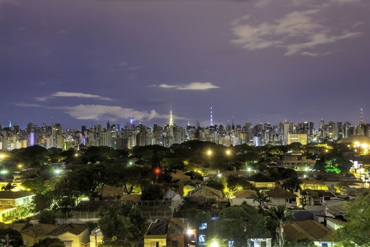 Gaisras Brazilijoje sunaikino lūšnyną
