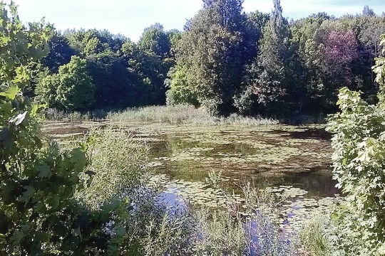 Tvenkinio tvarkyti nesuskubo net ir po tragedijos
