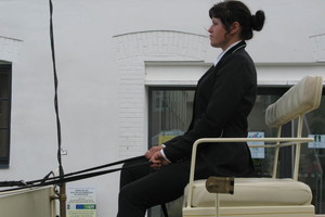 Idėja savaitgaliui: mažo Rietavo svaiginantys turizmo užmojai