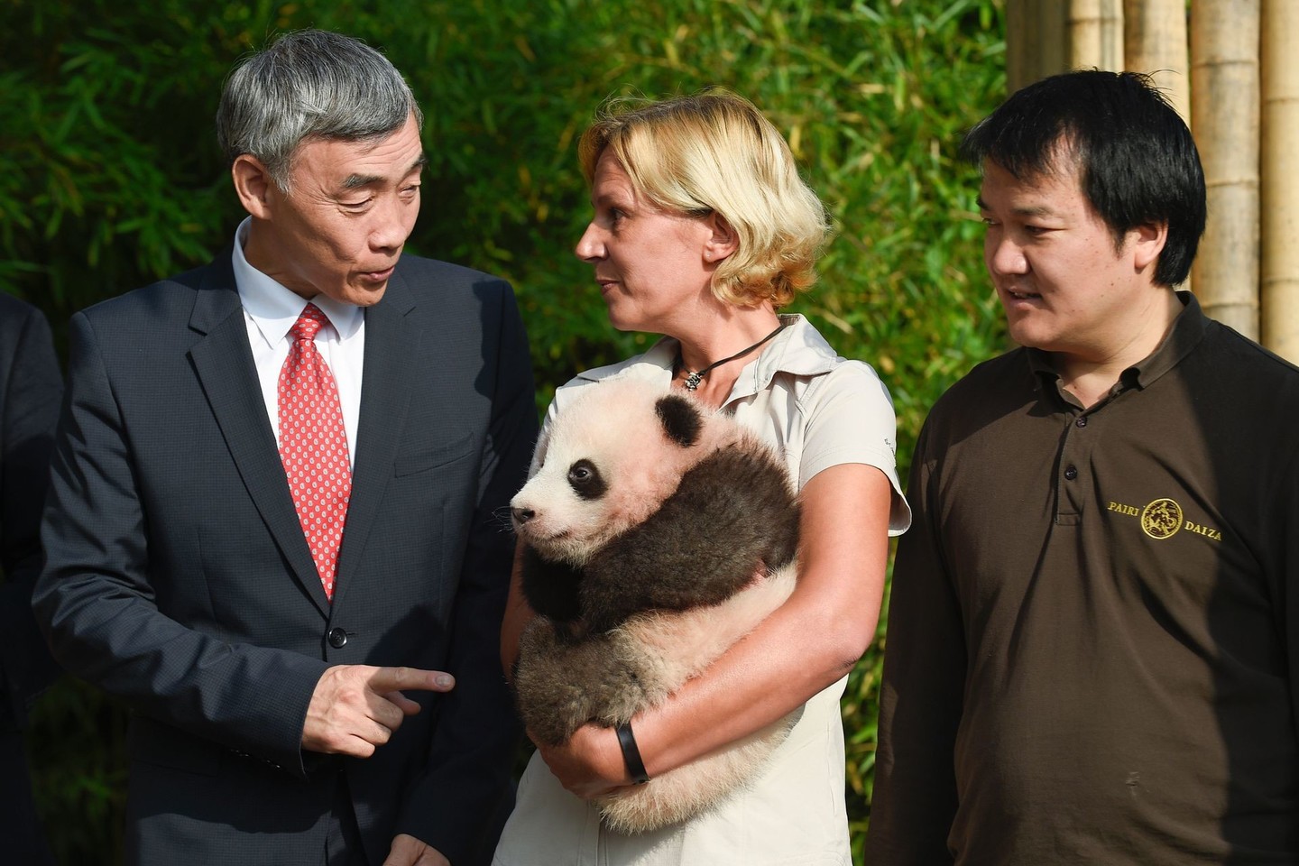 Belgijos zoologijos sodas ketvirtadienį pagaliau davė vardą prieš tris mėnesius pasaulį išvydusiai didžiosios pandos mažyliui, pavadindamas ją „Tian Bao“ arba „Dangaus brangenybe“ kiniškai.<br>AFP/ Scanpix nuotr.