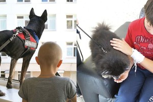 Sunkiai sergančio vaiko ligoninėje laukė staigmena