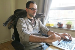 Įžūliau nebūna: katės, kurioms nesvarbu, kad dirbate