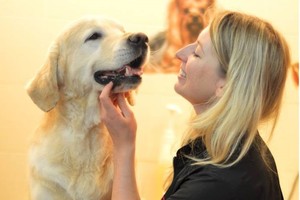 Gintaro Rinkevičiaus duktė smuikininkė Šveicarijoje kerpa šunis