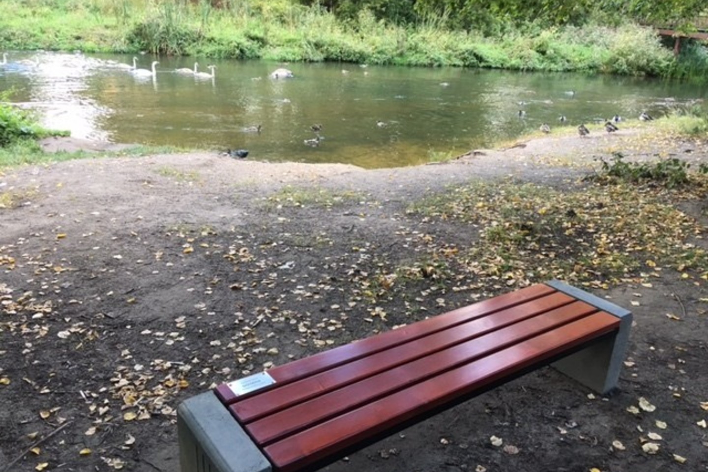Projektą inicijavo Pavilnio gyventojas Giedrius Surplys.