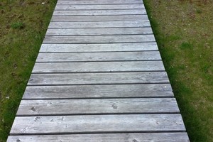 Aplinkos tvarkymo darbai turi savo eilės tvarką – nedarykite klaidų