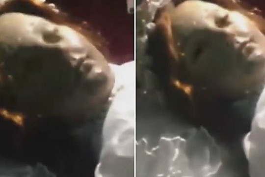 Nufilmuoti nužudytos šventosios palaikai šokiravo internautus