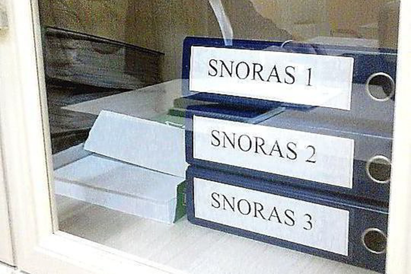 R.Baranauskas Maskvoje kruopščiai kaupia visus dokumetus apie „Snoro“ veiklą.<br>R.Karmazaitės nuotr.
