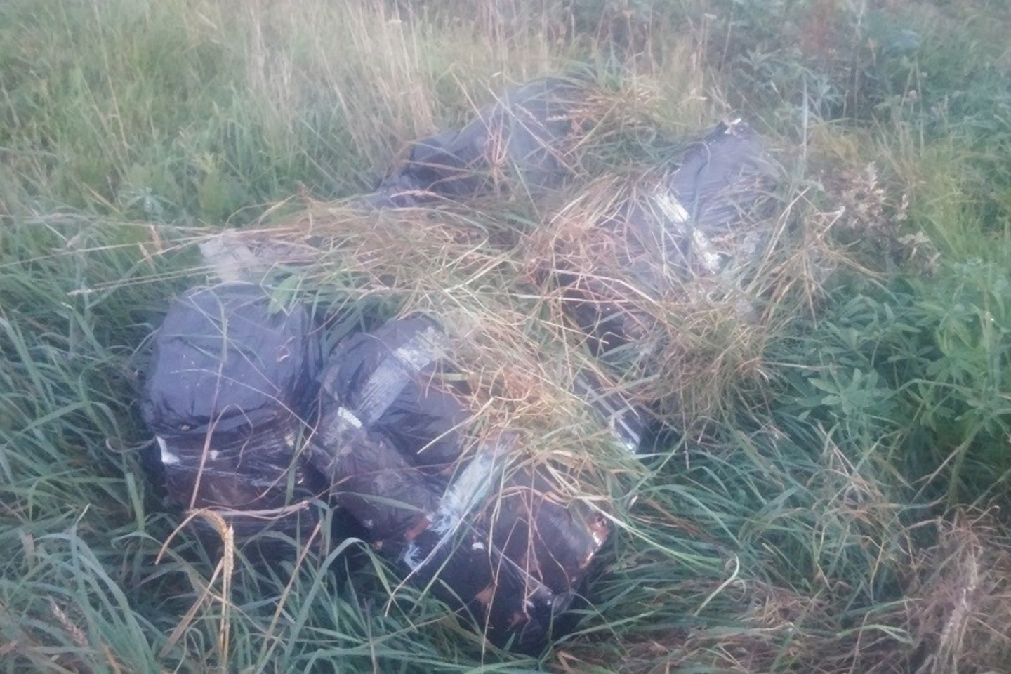 Kontrabandininkų pievoje paslėptus rūkalus surado pasieniečiai.