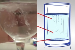 Atlikę šį testą akimirksniu sužinosite, ar grybelis žaloja jūsų kūną