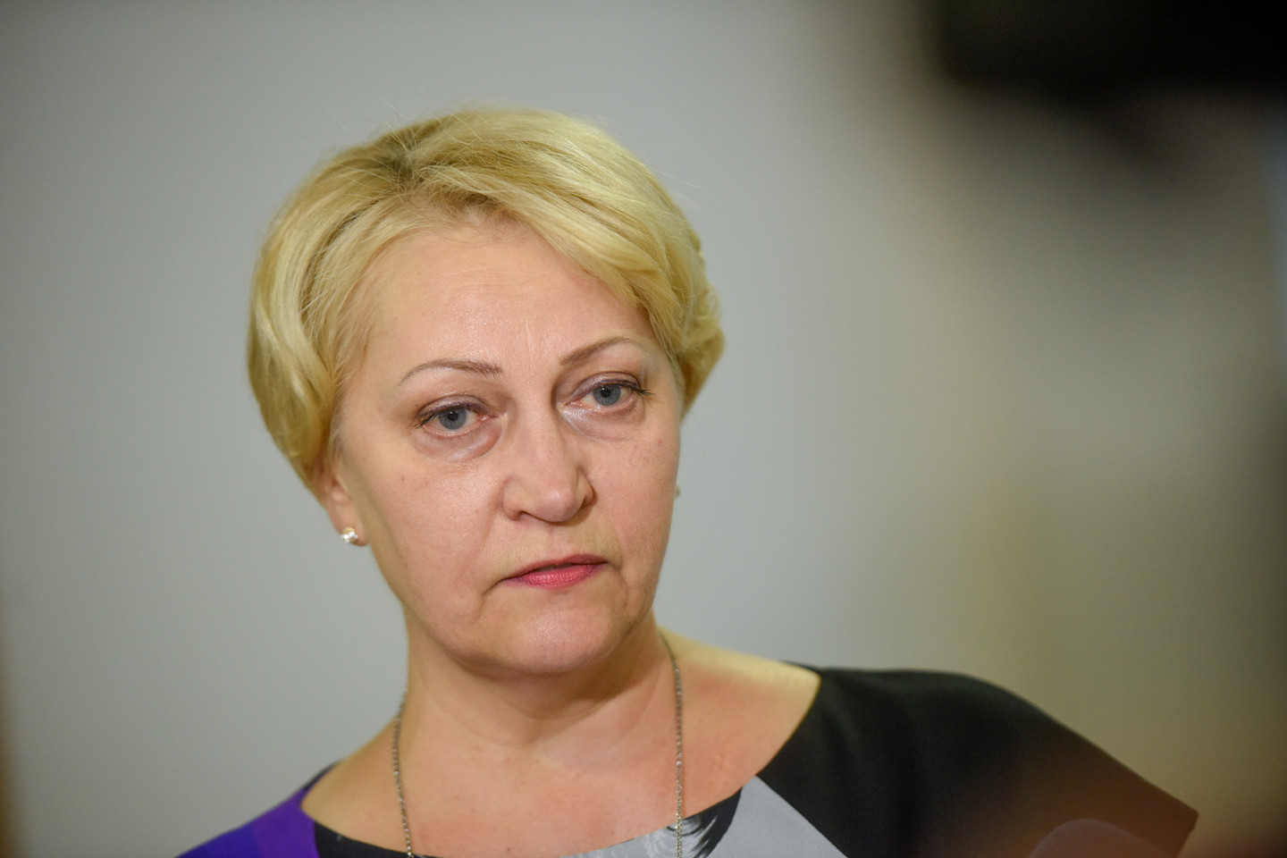 Pasak ministrės, kitų metų biudžete yra įsipareigojimas daugiau išlaidų skirti krašto apsaugai bei naujo socialinio modelio priemonėms finansuoti.