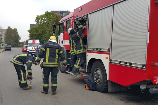 Ant vyro kojos Klaipėdoje užkrito cemento blokas