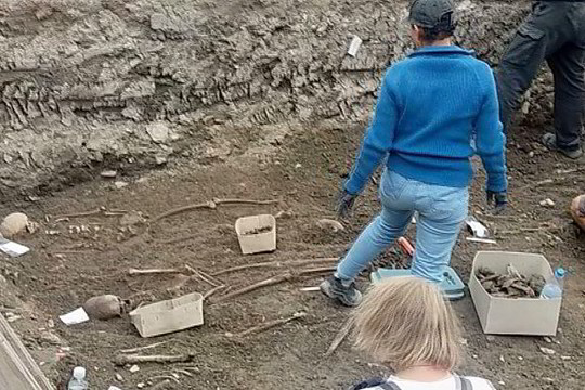 Lietuvė Vokietijos miestelyje nufilmavo šiurpų radinį