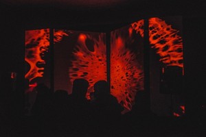 Penktadienį Vilniuje – vienos nakties festivalis „Sirius VII“