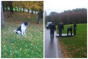 Į parką pavedžioti šuns išėjęs panevėžietis rastas nužudytas
