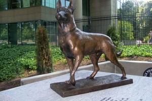 Pareigūnui Ramziui atminti sukurtas puslapis, rinks pinigus paminklui