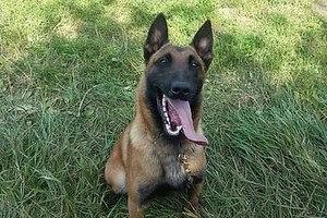 Buvęs pareigūnas raudantiems Ramzio siūlo susimąstyti