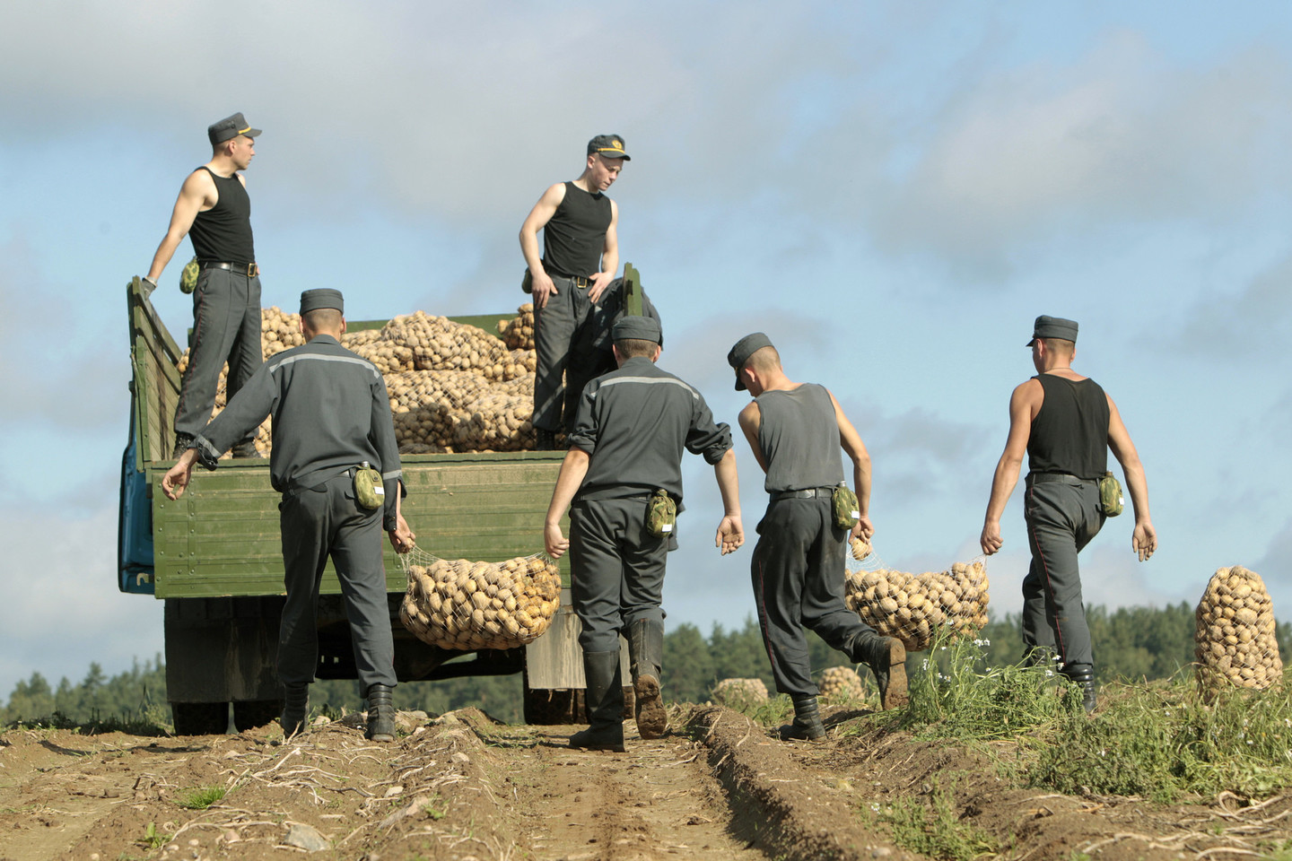 Kaip baltarusiams pavyko patiekti Rusijai net penkis kartus daugiau obuolių ir grybų, nei jų galėjo sunokti kaimynų soduose ir pridygti miškuose, kada „vyresniojo brolio“ įvairiausi „nadzorai“ visą tą laiką akylai stebėjo, kad į šalį nepatektų joks sankcijomis uždraustas obuoliukas