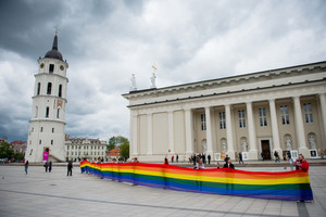 Dauguma sąrašų lyderių – už homoseksualų partnerystę