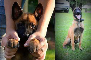 Žmonės neliko abejingi kvietimui įamžinti Ramzio atminimą