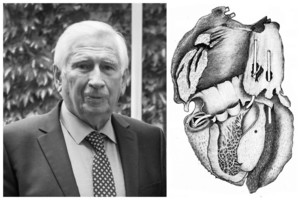 Pranešta apie R.V.Nargėlos mirties priežastį