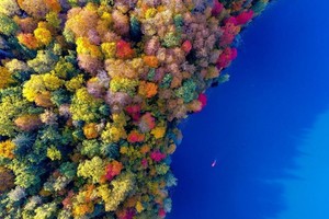 Užburiantis grožis. Ir tai – ne koralinis rifas