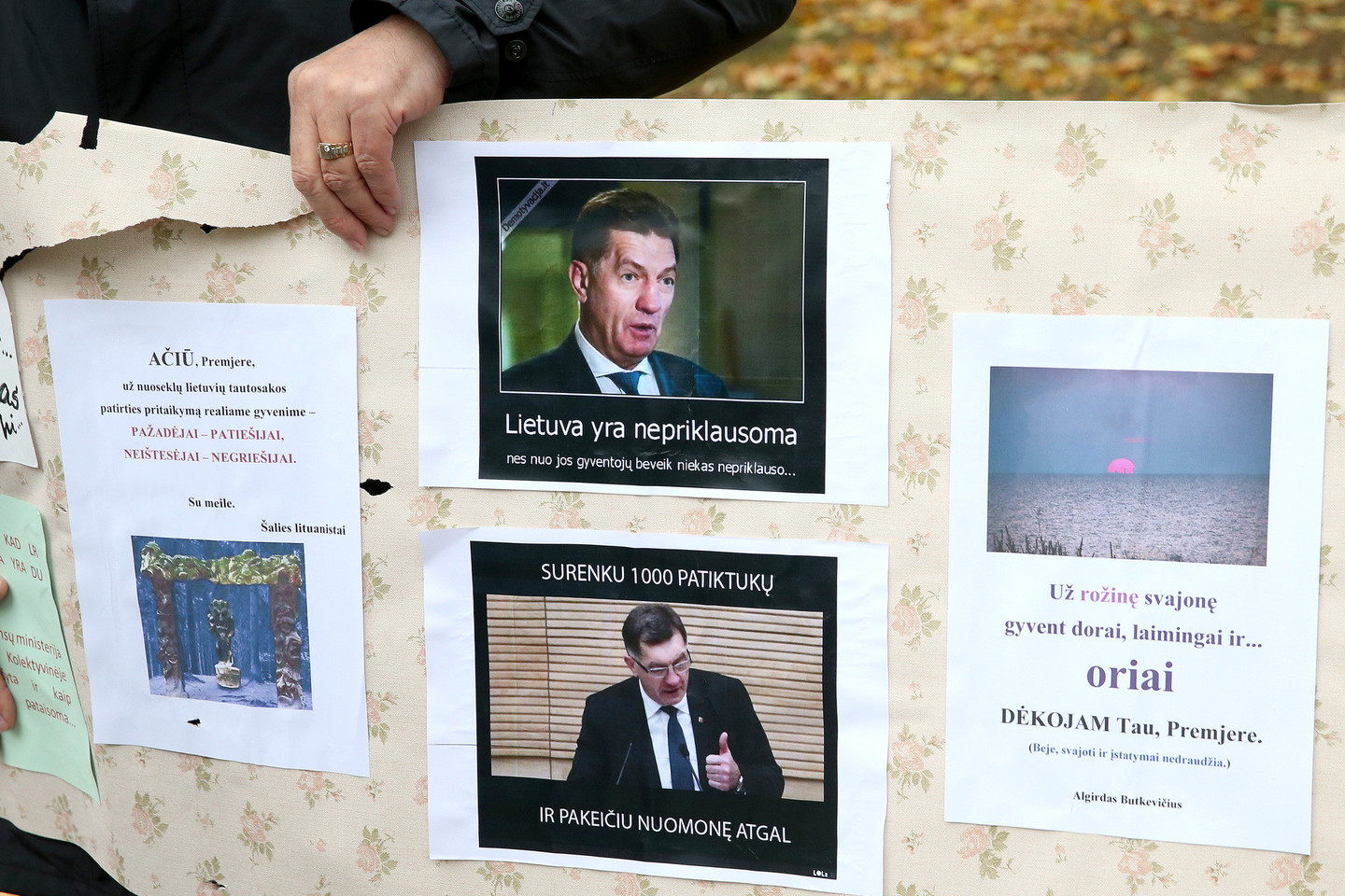 Prie Vyriausybės savo programą dėstė „būsima Švietimo ir mokslo ministrė“ Algirda Ekonomikaitė.