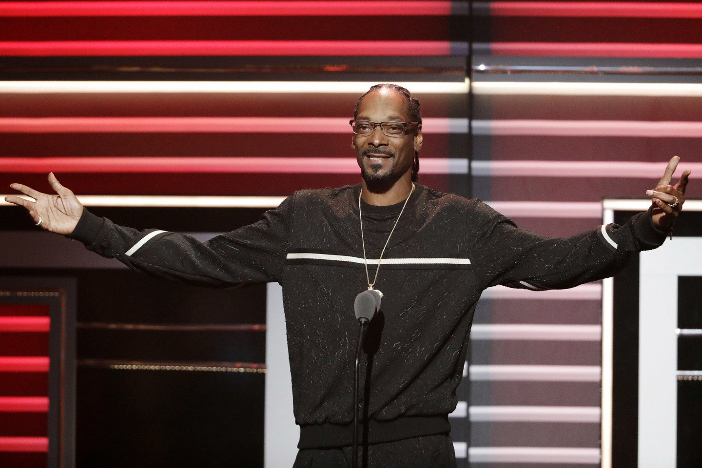 Snoop Doggas pagerbtas už visos karjeros pasiekimus.