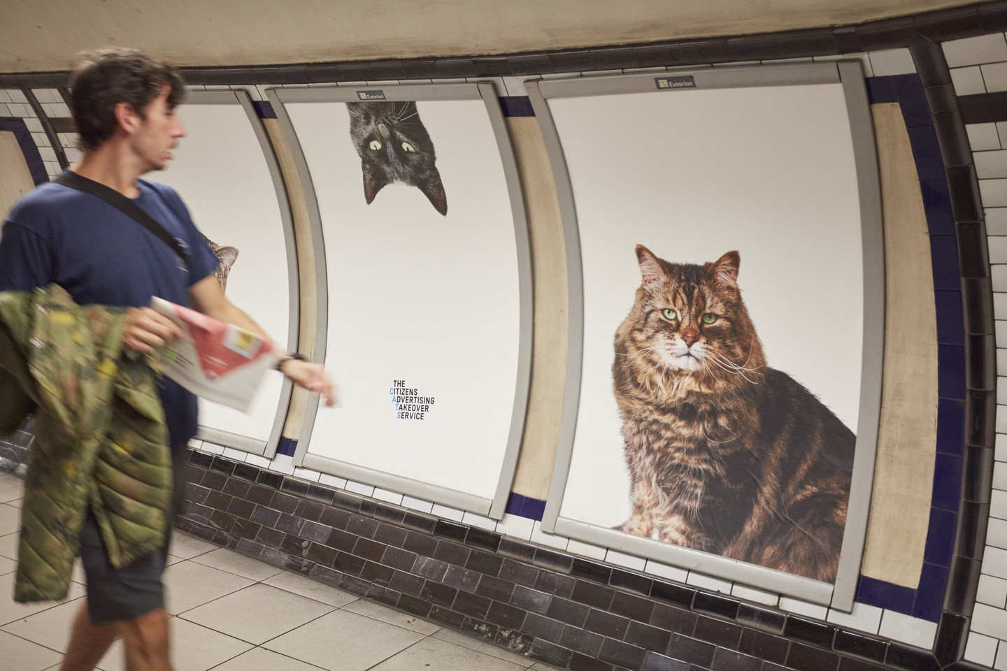 Londono metro stotelėje vietoje įkyrių reklamų nuo šiol kabės kačių ir šunų portretai.