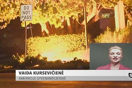 Amerikoje gyvenanti lietuvė papasakojo apie siaučiantį uraganą „Matthew“