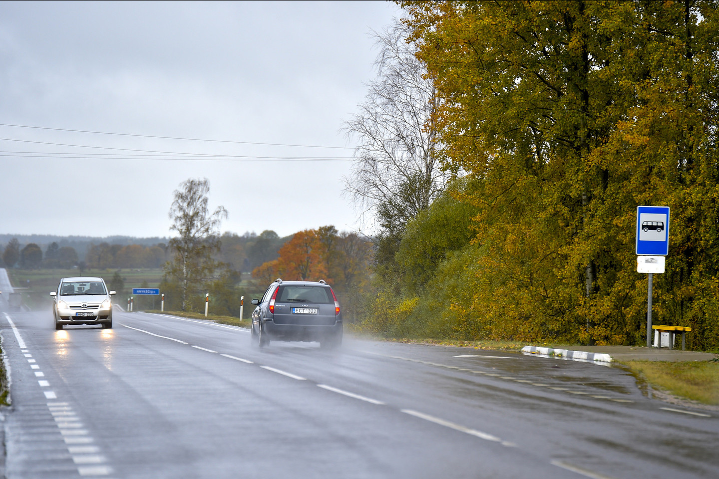 Čia kaip toje pasakoje, kur laumė bėga laukais, taip laukais „bėga“ ir ruduo – savo ranka tapydamas medžius ir visur taškydamasis spalvomis.<br>V.Ščiavinsko nuotr.