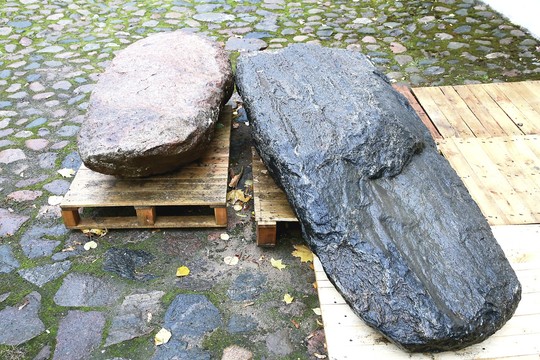 „Dramblio akyje nepastebėjo“: pagonių istoriją išvežė į šiukšlyną