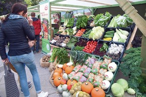 Daržovių kainas šįmet nuplovė lietūs