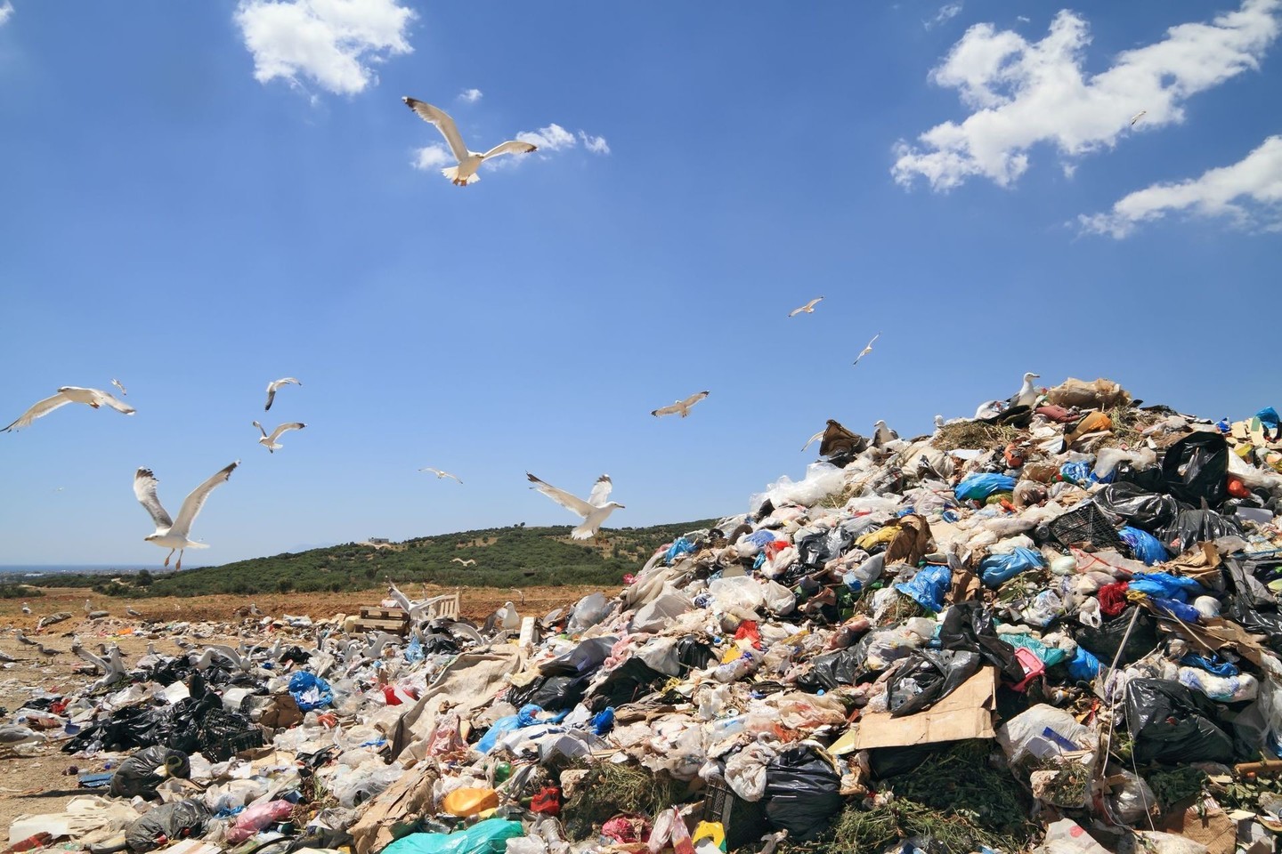 Estija pernai importavo 56 tūkst. tonų šiukšlių.