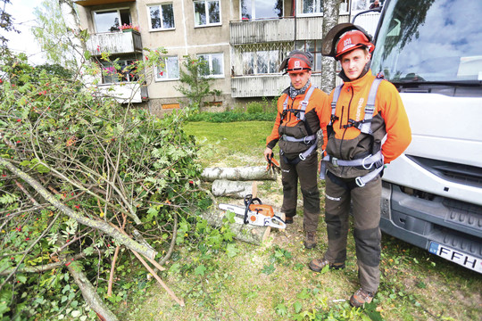 Atvyko vyrai su pjūklais – bus skandalas