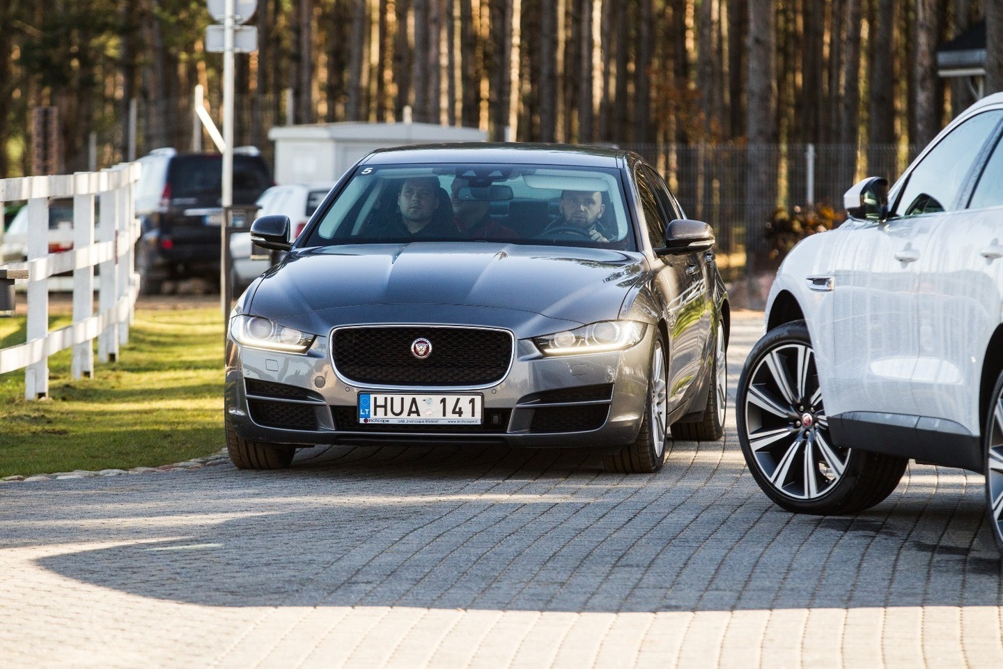 Nauji „Jaguar“ modeliai pristatyti Dubingių žirgyne.<br>Organizatorių nuotr.