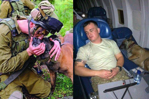 Širdį virpinantys kadrai: nesumeluota pareigūnų ir jų šunų meilė