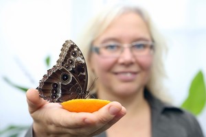 Į tropinių drugių parodą Kaune – pasidaryti asmenukės