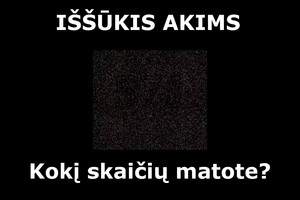 Jei matote šį skaičių – turite erelio akis