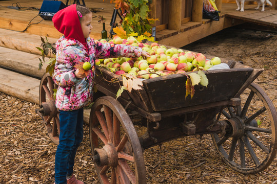 Moksleivių laisvadieniai Jūrmaloje!