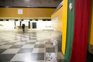 Emigrantės močiutė nuėjo balsuoti – tokiam pažeminimui nesiruošė