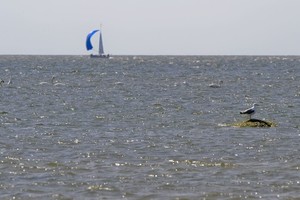Baltijos jūroje išgelbėti sugedusios jachtos keleiviai, tarp jų – lietuviai