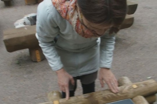 Gailestinga lietuvė nepaliko pelės nelaimėje. Štai ką ji padarė