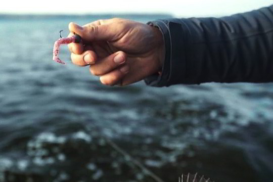 Kauno marių plėšrūnų žvejyba: kokį pasirinkti masalą? (II)
