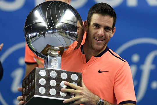 Juanas Martinas del Potro Švedijoje iškovojo trofėjų