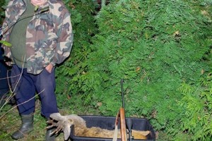 Pasalą surengusių pareigūnų laimikis – netikėtas radinys krūmuose