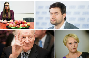 Tarp Seimo naujokų – ir turčiai, ir visiški varguoliai