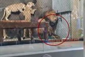 Kraupų incidentą zoologijos sode stebėjo būrys vaikų