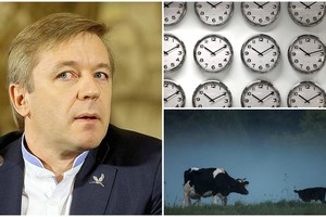 R. Karbauskis nenori sukioti laikrodžių: „Karvė nesupranta, kad laikas persuktas“
