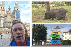 Festivalių organizatorius dėl švarios galvos pėsčiomis įveikė šimtus kilometrų